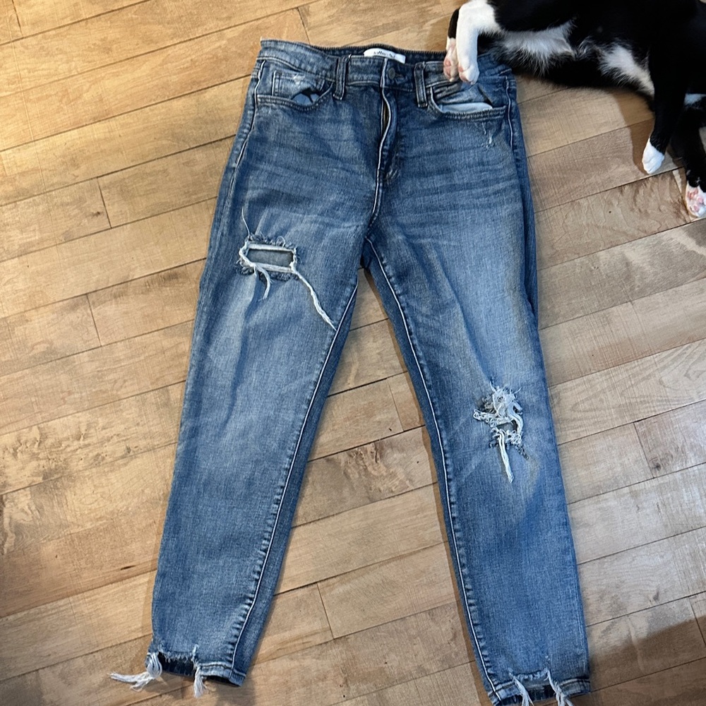 Willow Tree Distressed Ankle Jeans in Blue